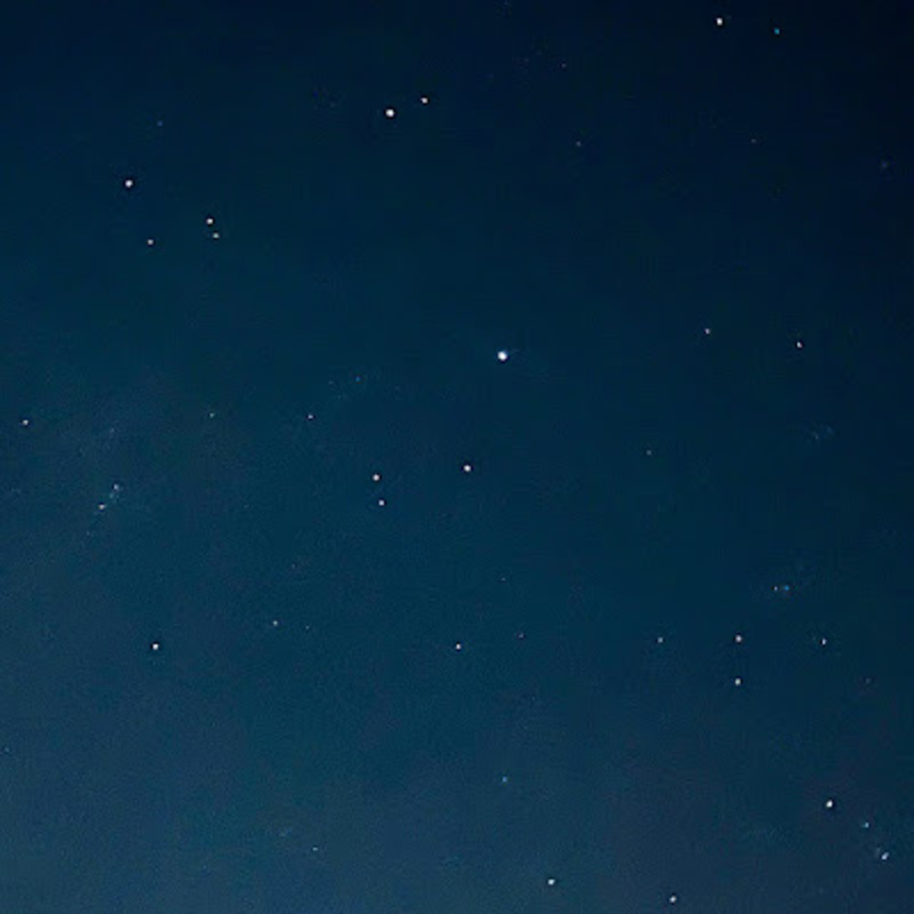 Meet your Posher, Audrey